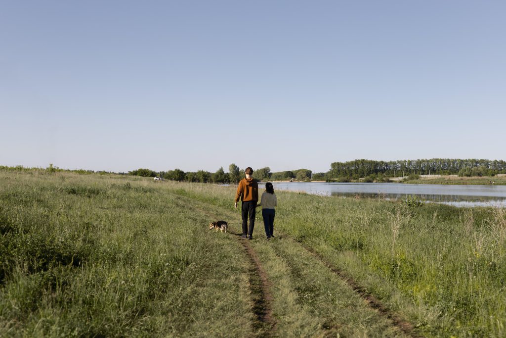 long shot travelers with dog nature