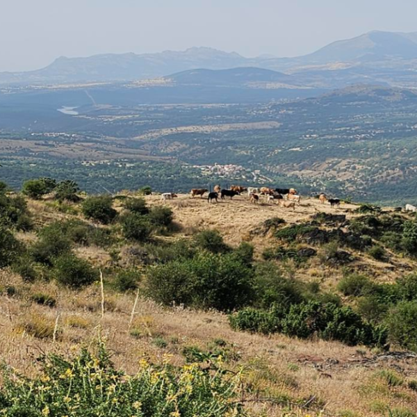 Mirador de Robregordo