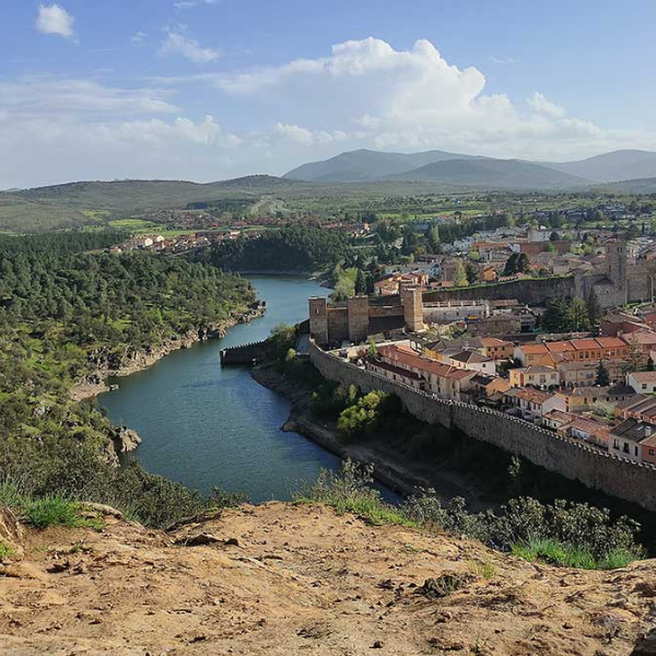 Perdiguera Buitrago de lozoya.